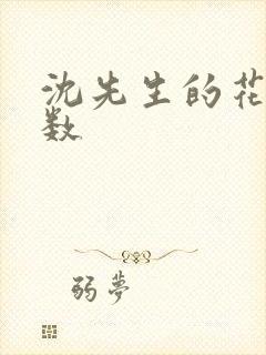 沈先生的花式调数