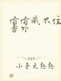 偷偷藏不住新婚番外