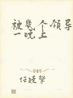 被几个领导玩弄一晚上