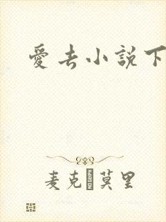 爱去小说下载网