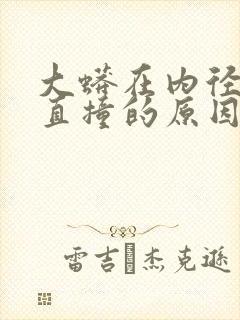 大蟒在内径横冲直撞的原因