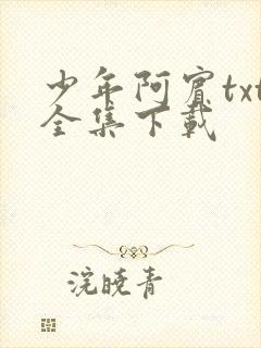 少年阿宾txt全集下载