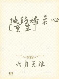 他的娇柔心尖宠[重生]