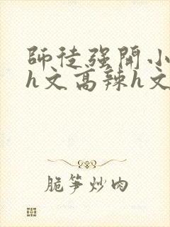 师徒强开小嫩苞h文高辣h文