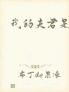 我的夫君是冥王