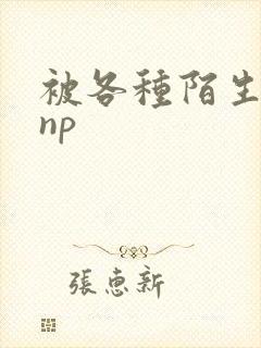 被各种陌生人 np