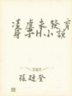 凌虐未发育的小身子H小说