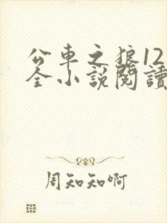 公车之狼12集全小说阅读