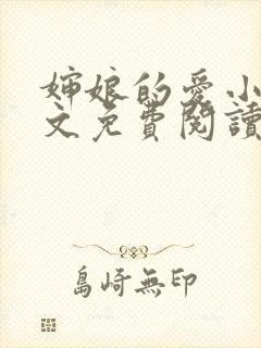 婶娘的爱小说全文免费阅读