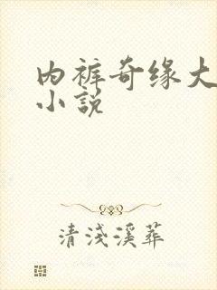 内裤奇缘大团结小说