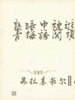 熟睡中被进了H青梅诱哄视频