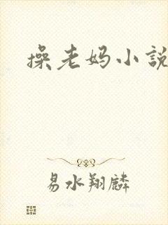 操老妈小说