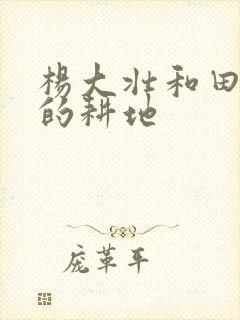 杨大壮和田桂花的耕地