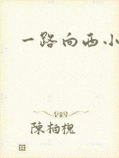一路向西小说