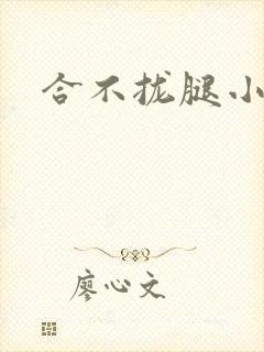 合不拢腿小说