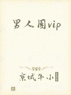 男人团vip