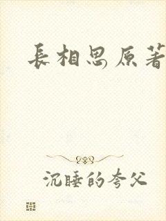 长相思原著小说