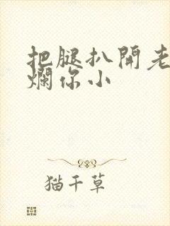 把腿扒开老子臊烂你小