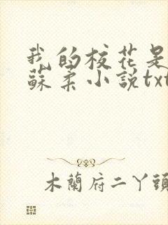 我的校花是福姬苏柔小说txt