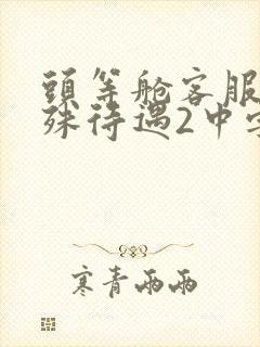 头等舱客服的特殊待遇2中字