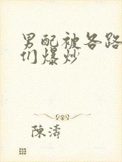 男配被各路大佬们爆炒