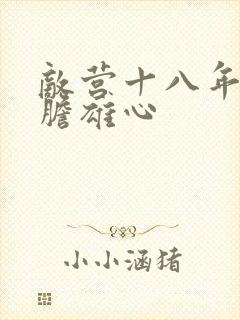 敌营十八年2虎胆雄心