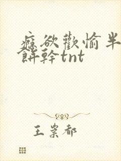 瘾欲欢愉半块小饼干tnt