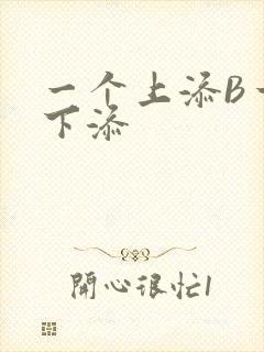 一个上添B一个下添