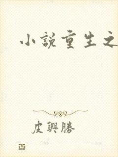 小说重生之官道