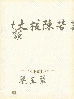 t大校陈若芸小说