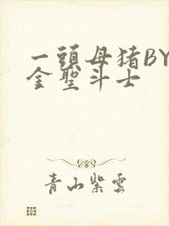 一头母猪BY黄金圣斗士