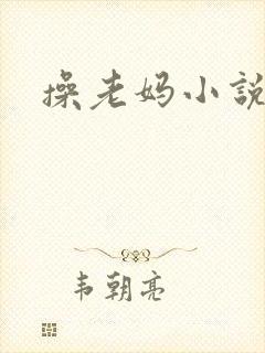 操老妈小说