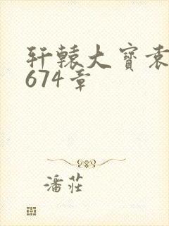 轩辕大宝袁雪妃674章