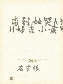 脔到她哭h粗话H好爽小黄鸭视频