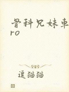 骨科兄妹车多pro