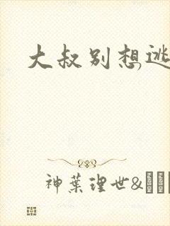 大叔别想逃