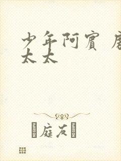 少年阿宾 房东太太