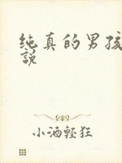纯真的男孩子小说