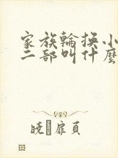 家族轮换小说第二部叫什么名字