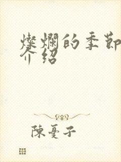 灿烂的季节剧情介绍