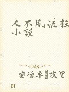 人不风流枉少年小说