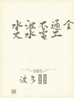 水泄不通金银原文水电工