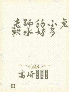 老师的小兔子好软水好多
