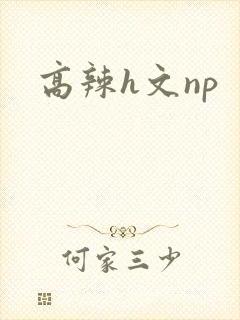高辣h文np