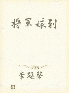 将军嫁到