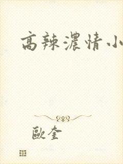 高辣浓情小说