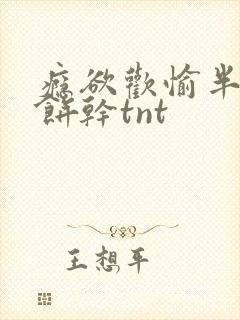 瘾欲欢愉半块小饼干tnt