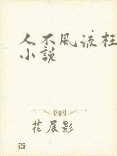人不风流枉少年小说