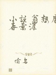 小说 翁想房中春意浓