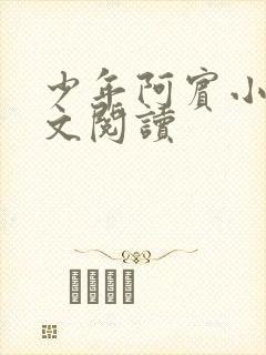 少年阿宾小说全文阅读